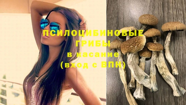 MDMA Няндома