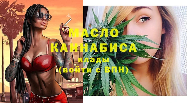 гидра Коряжма